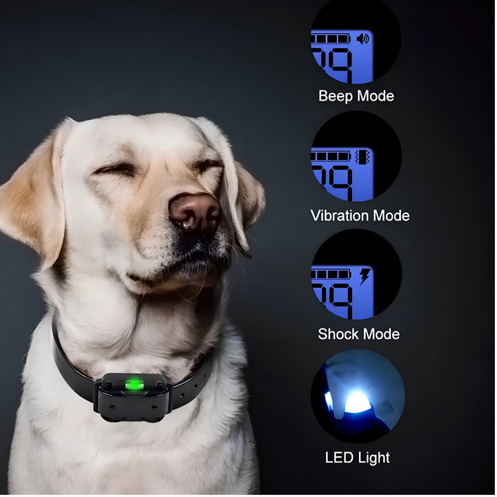Smart Dog Training Device