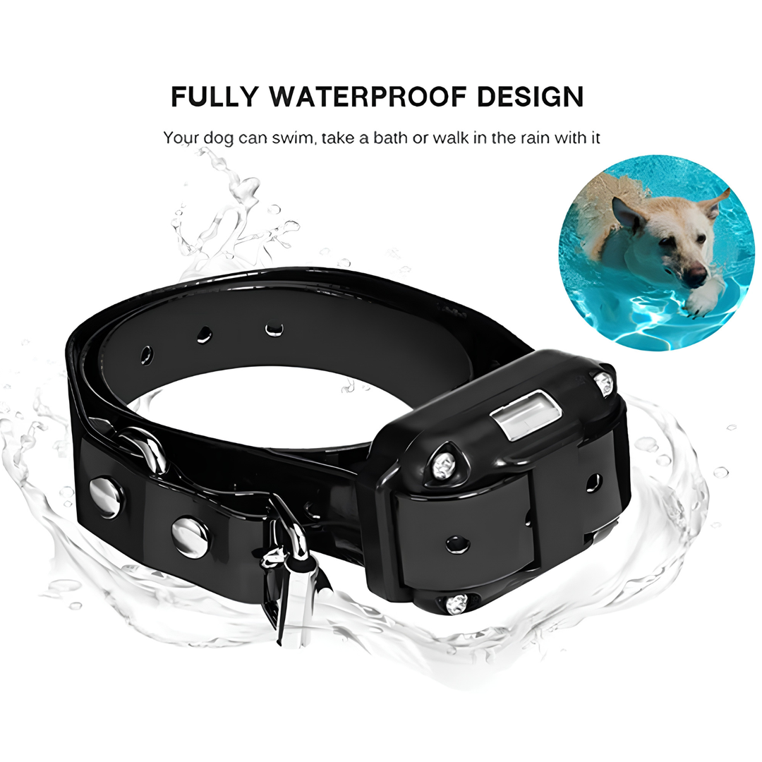 Smart Dog Training Device