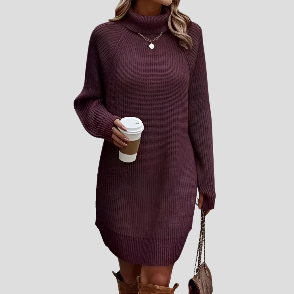 Elegant Knitted Dress for Women