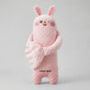 Soft Bunny Character Plush Toy