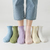 Ruffle Cuff Ankle Sock Set