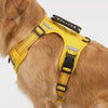 Adjustable Anti-Pull Chest Harness