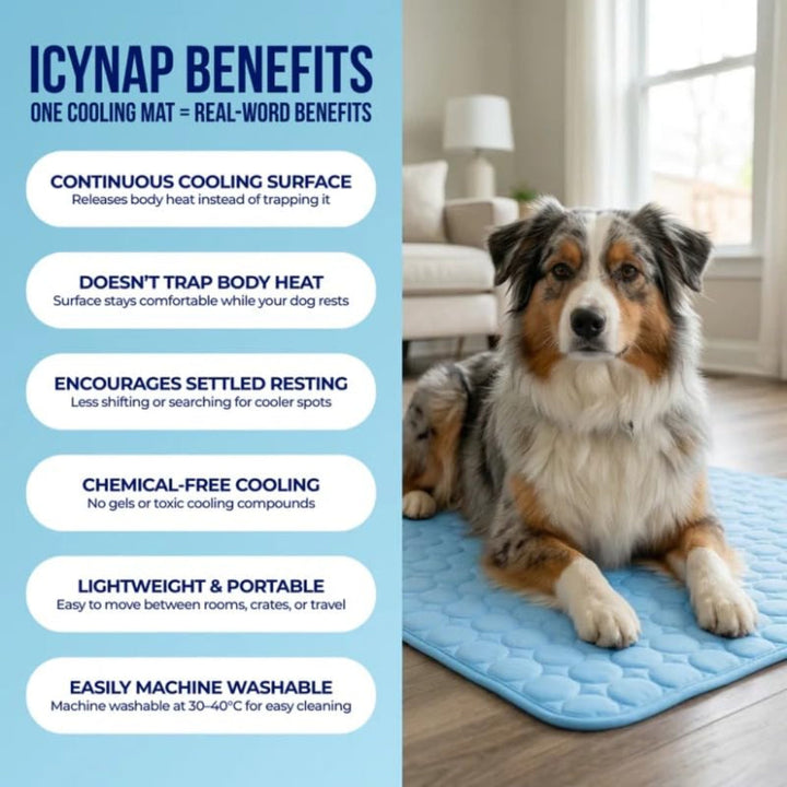 Pet Ice Silk Pad - Summer Cooling Pad For Sofa, Breathable And Anti-slip, Anti-biting Dog Bed Ice Pad, Summer Coolness Dog Pad