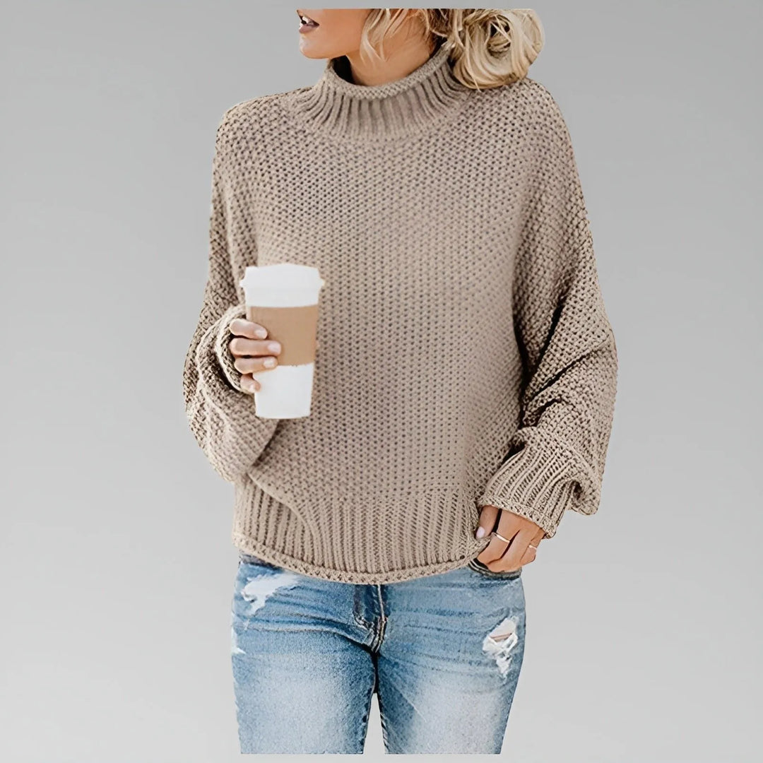 Dulcie Women's Chunky Knit Turtleneck Oversized Sweater