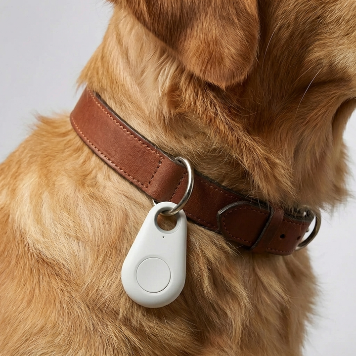 Compact GPS Collar Attachment Tracker