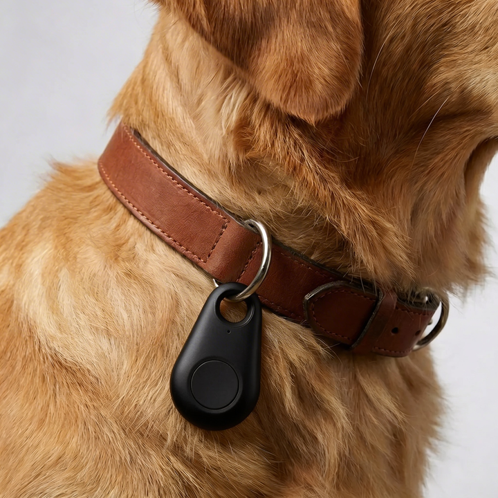 Compact GPS Collar Attachment Tracker