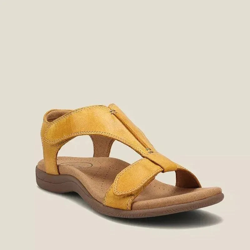 Shana Women&