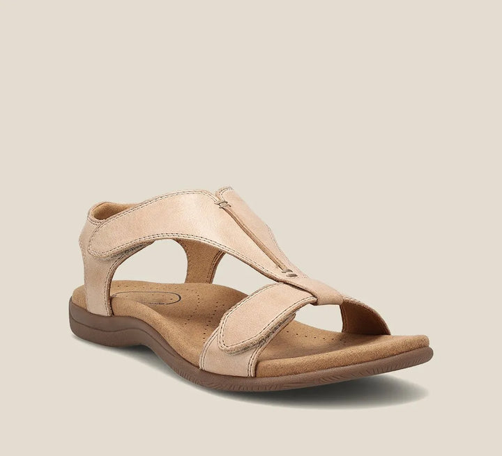 Shana Women&